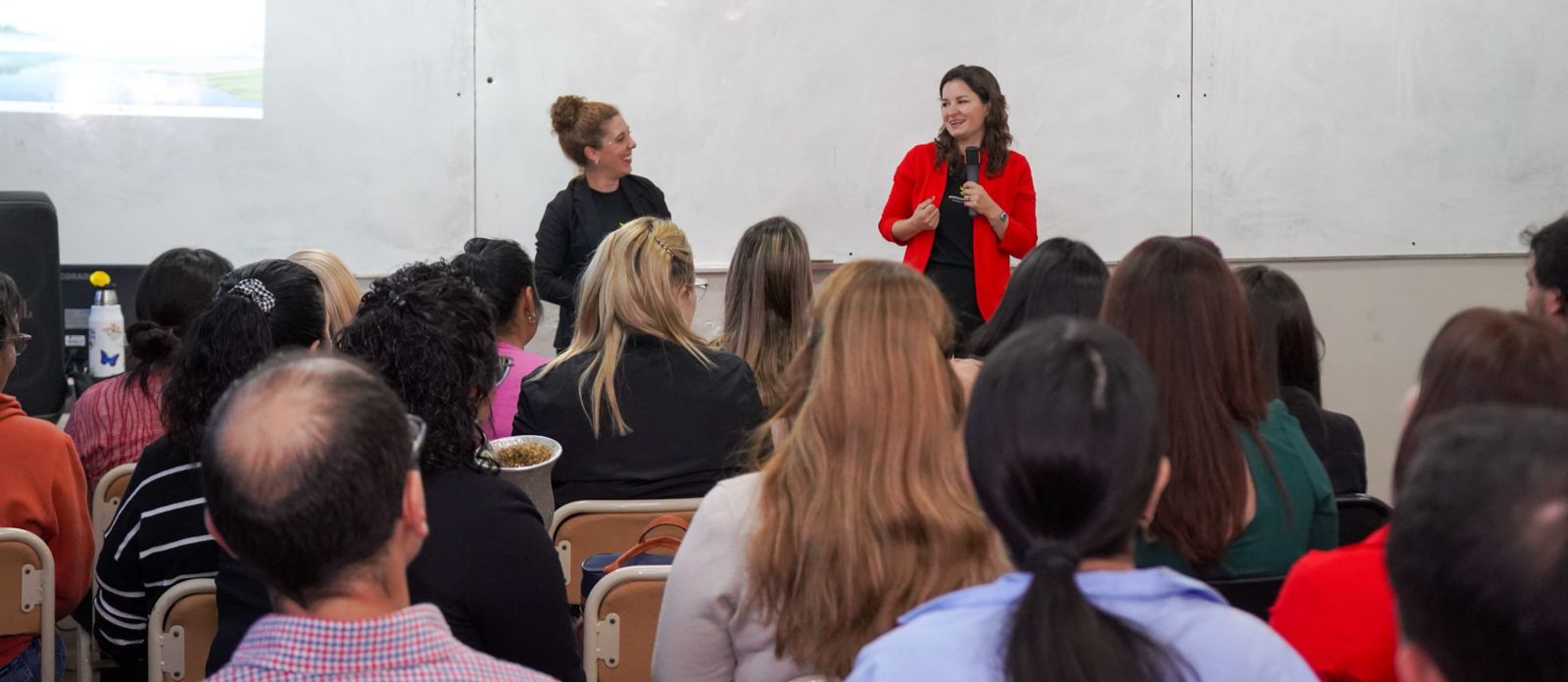 Programas formativos